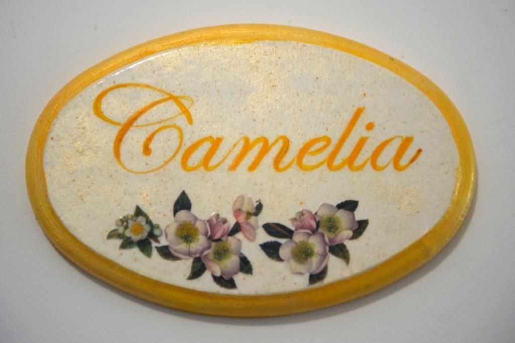 B&B Corte Dell' Immacolata Taviano  Eksteriør billede